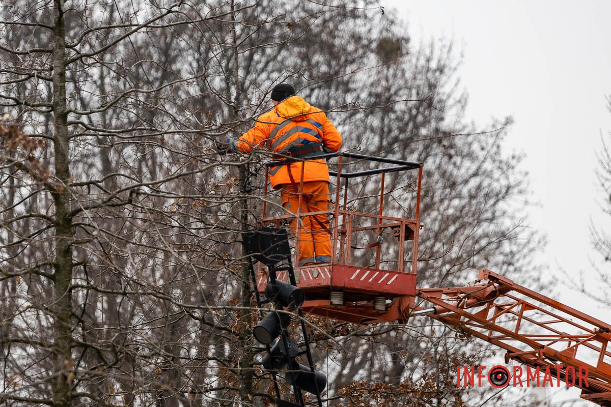 У центрі Дніпра дерева прикрашають гірляндами 10