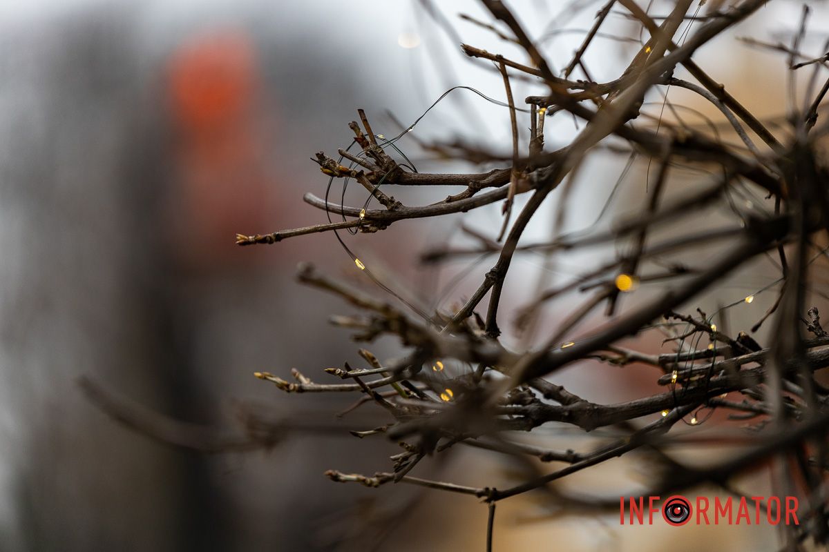 У центрі Дніпра дерева прикрашають гірляндами 11