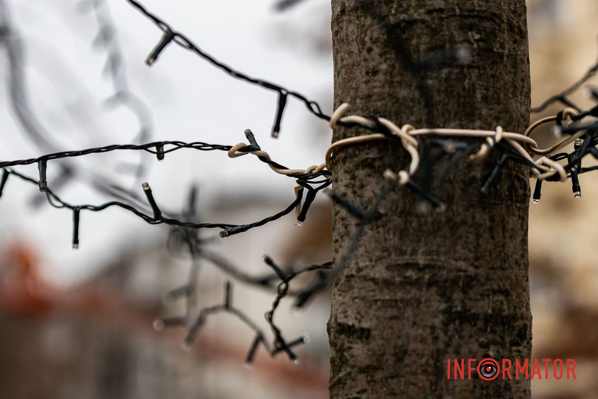 У центрі Дніпра дерева прикрашають гірляндами 14