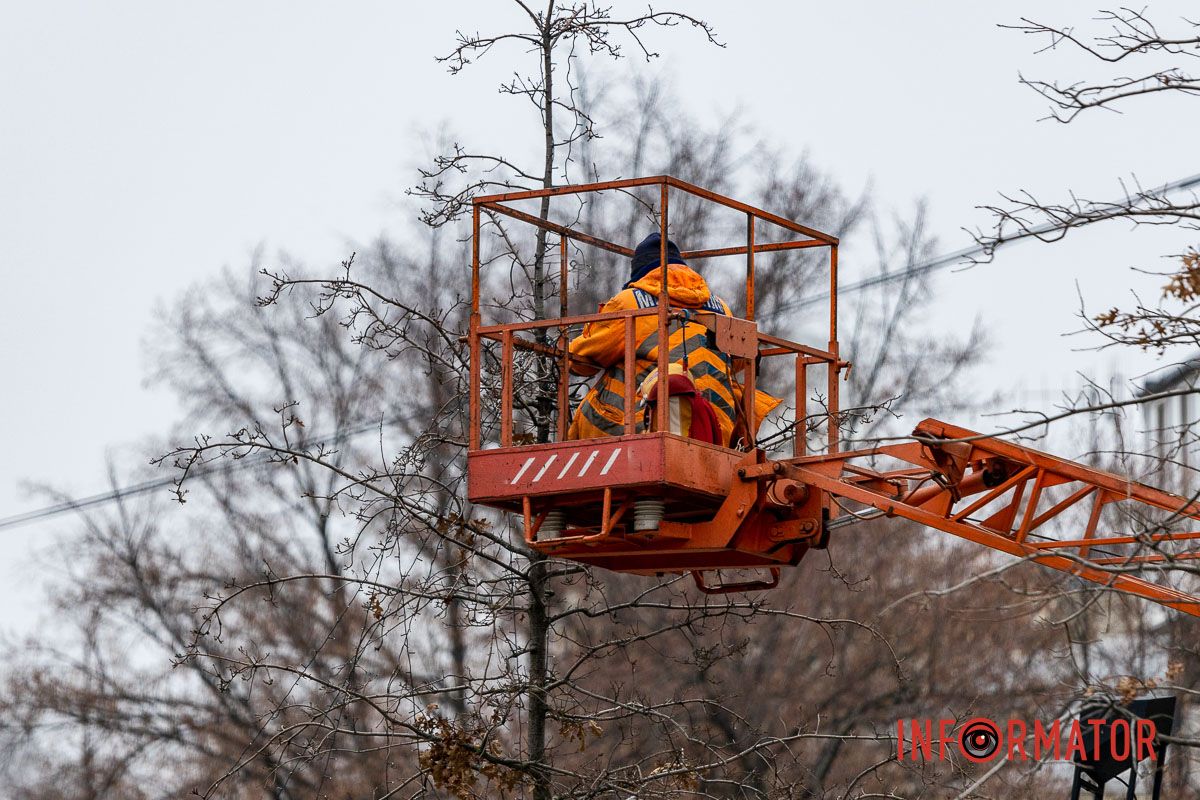 У центрі Дніпра дерева прикрашають гірляндами 15
