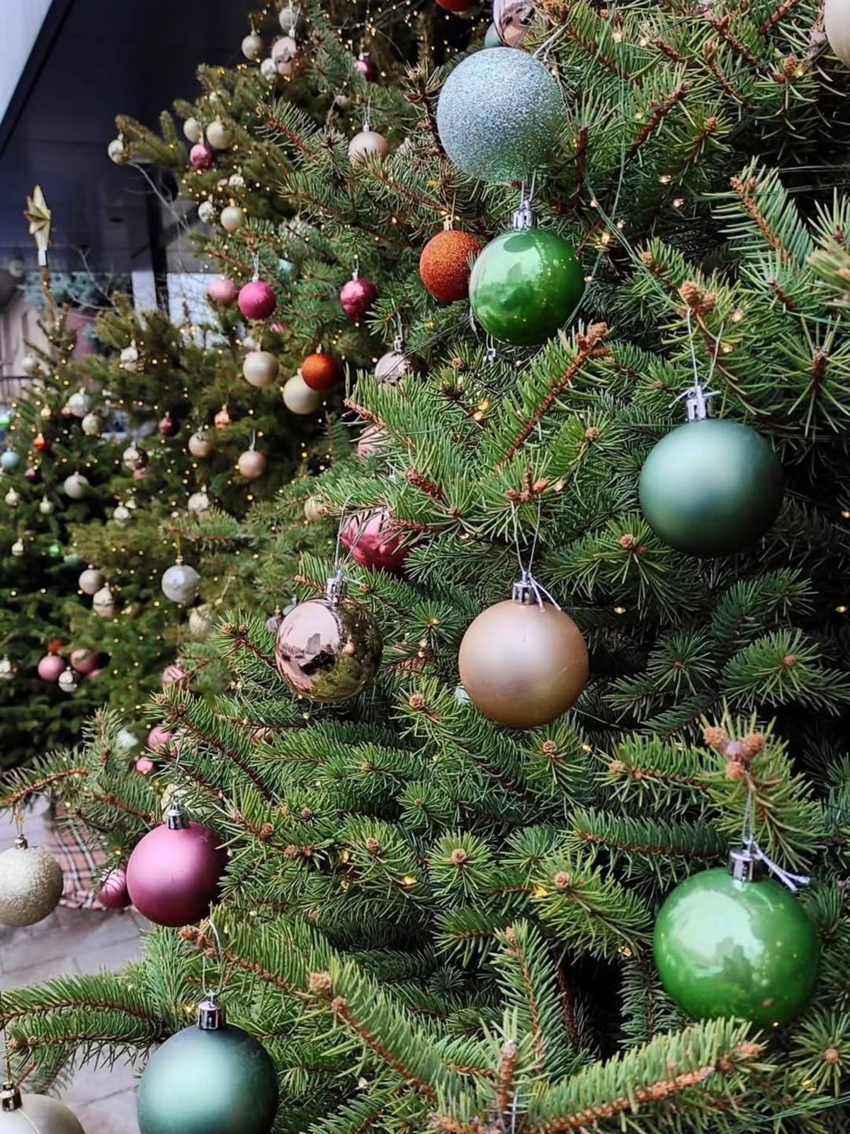 Фото: @_olga__woloshyna_ Фото: @_olga__woloshyna_