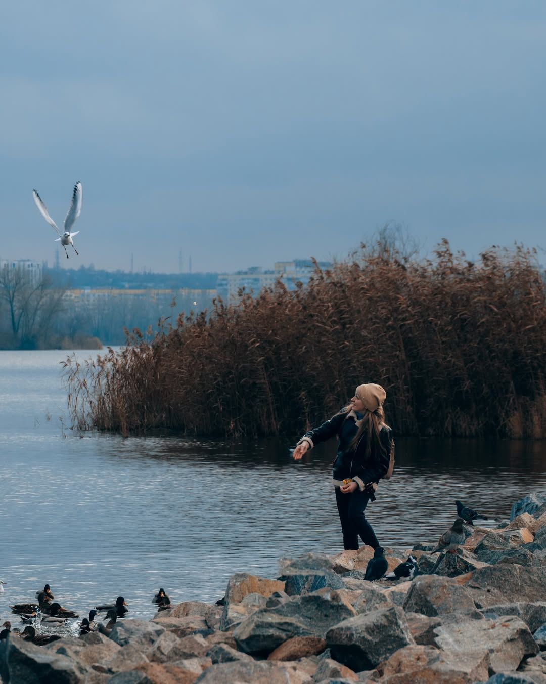 Фото: @dp.informator.ua Фото: @dp.informator.ua