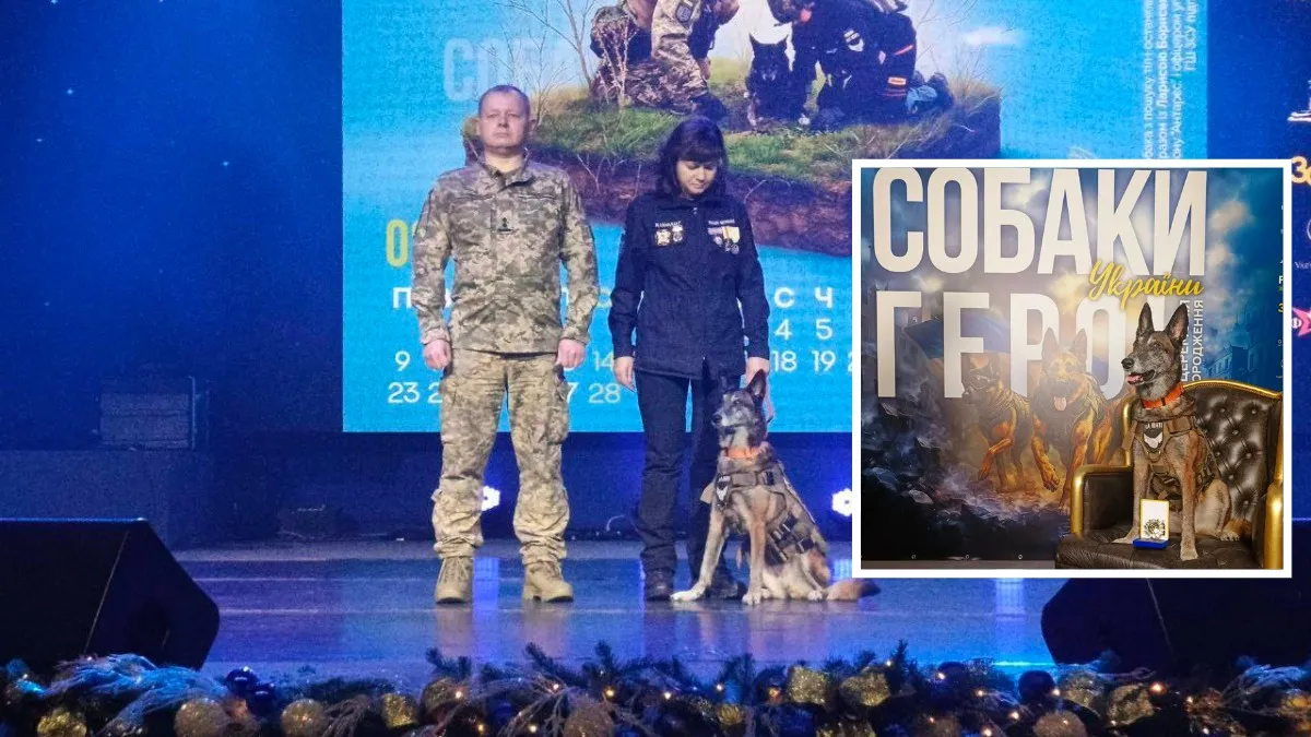 Бельгийская овчарка Спарки из Павлоградского поисково-спасательного кинологического отряда "Антарес" стала "Собакой-героем Украины"