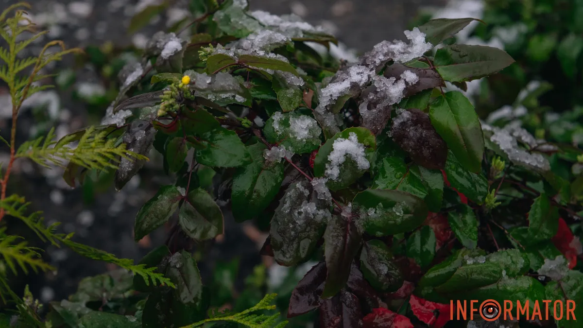 Морози та мокрий сніг: прогноз погоди у Дніпрі на 24 грудня