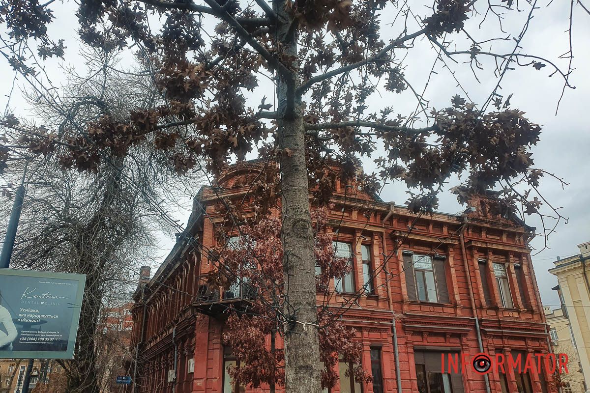 У Дніпрі до зимових свят готують вулицю Яворницького та Успенську площу 3