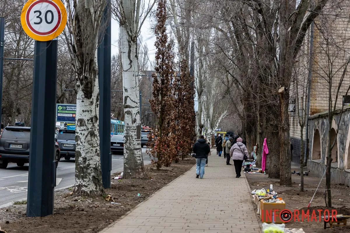 У Дніпрі на Соборній площі під час війни висадили понад 20 кущів дубів 4