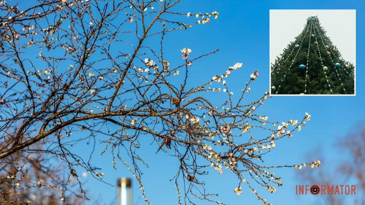 Мороз та безхмарне небо: якою буде погода на Різдво у Дніпрі