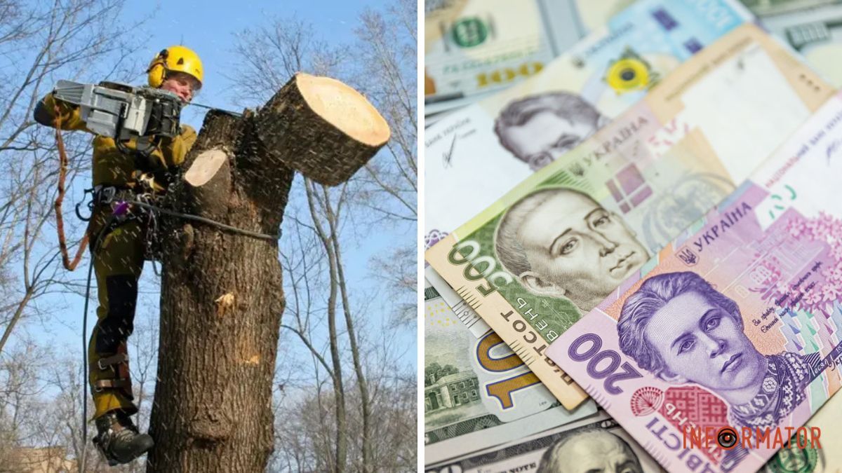 В конце года в Днепре объявили тендер на озеленение садов: на что планируют потратить 4 миллиона гривен