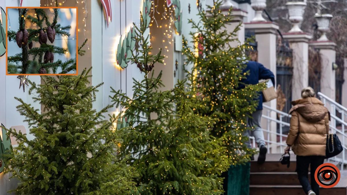 Погода на 25 грудня: у Дніпрі вдень буде ясно, ввечері – хмарно