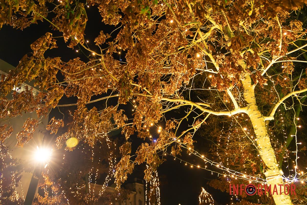Світло Різдва у центрі Дніпра: як засяяла вулиця Яворницького 7
