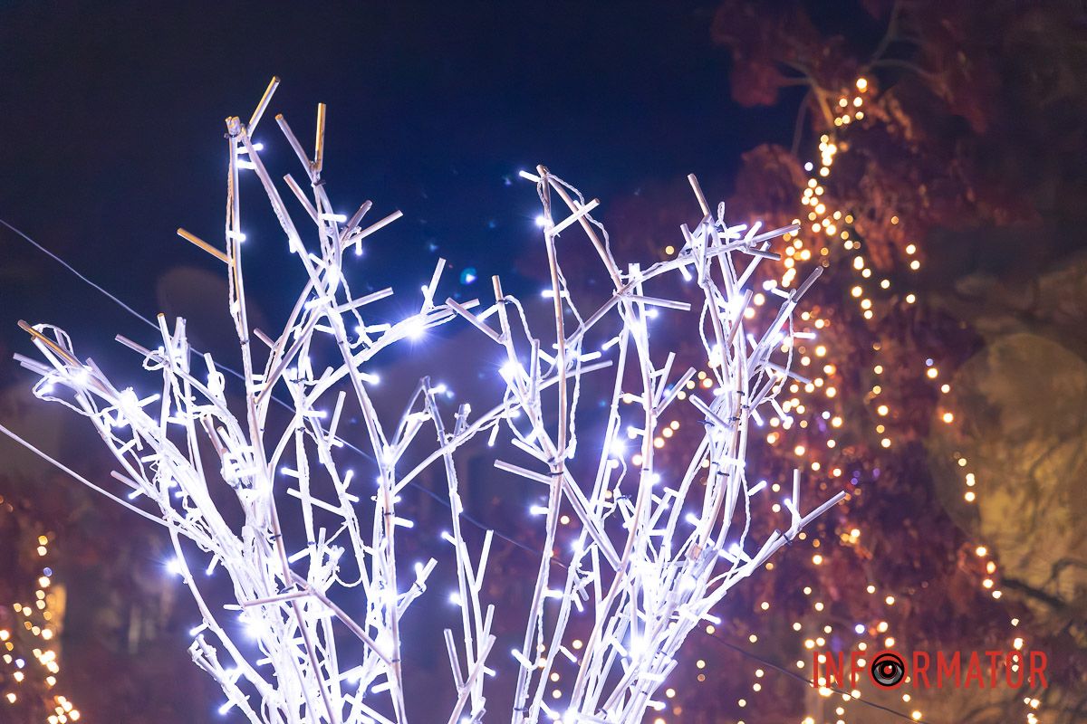 Світло Різдва у центрі Дніпра: як засяяла вулиця Яворницького 19