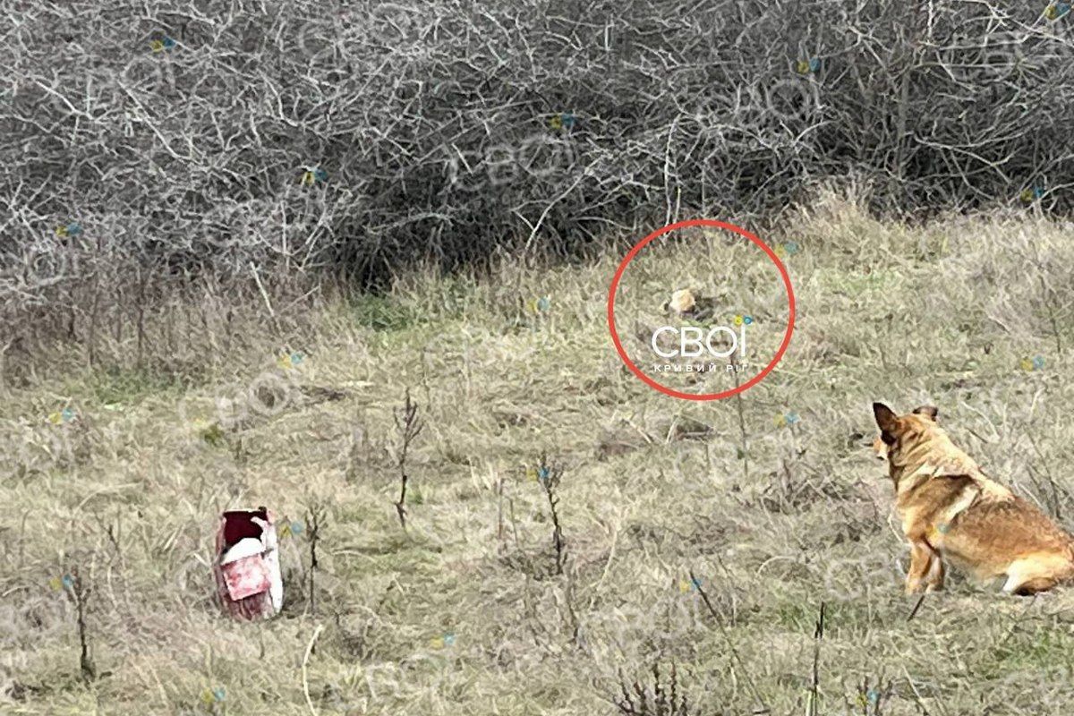 Між Божедарівкою та Новоіванівкою лежали людські рештки