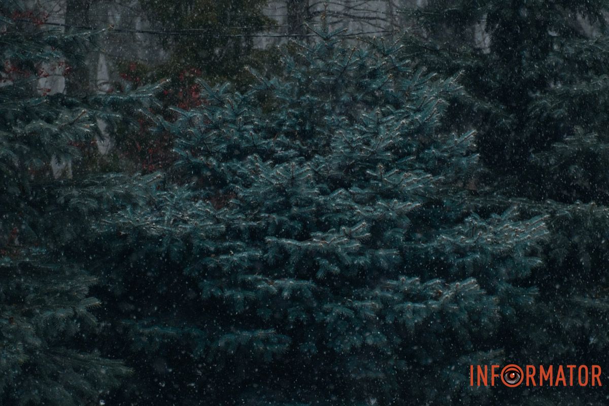 Гарне поєднання