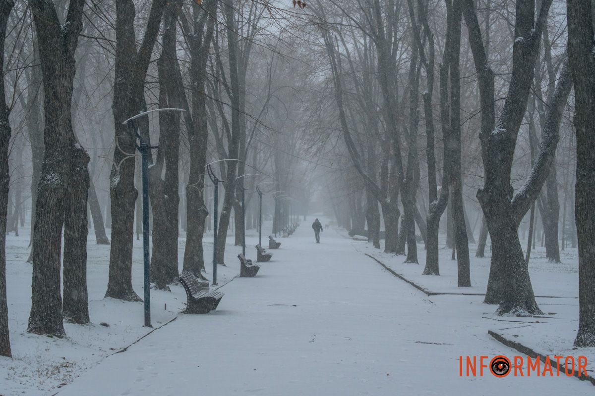 Природа під час сильного снігопаду.