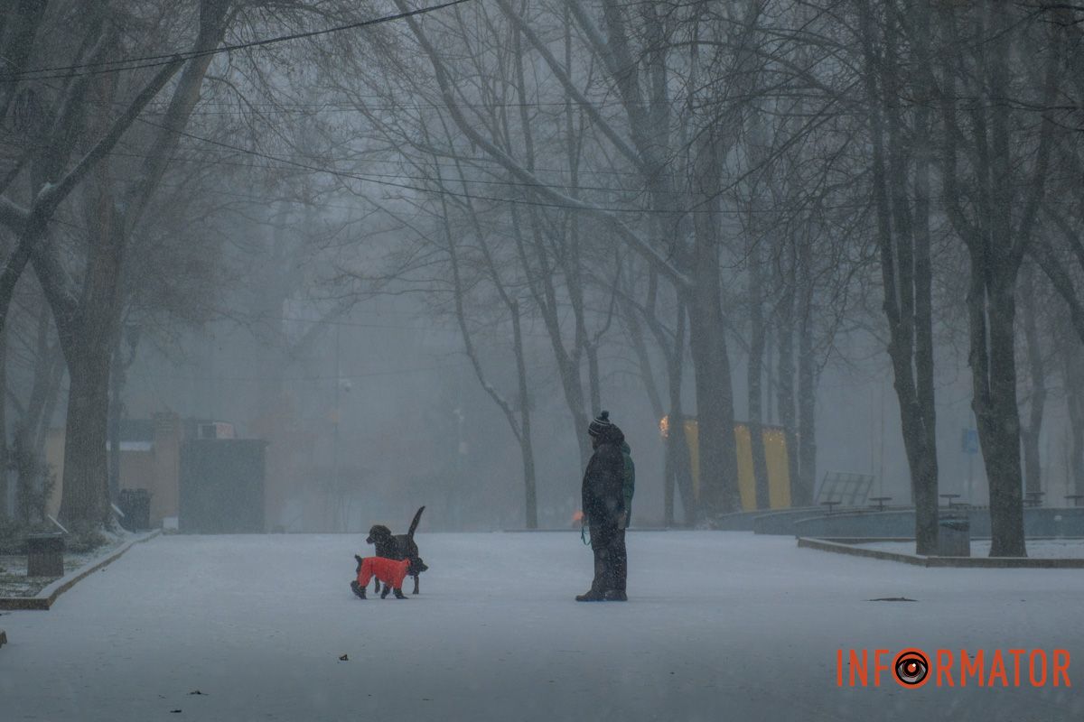 Прогулянка під час хуртовини