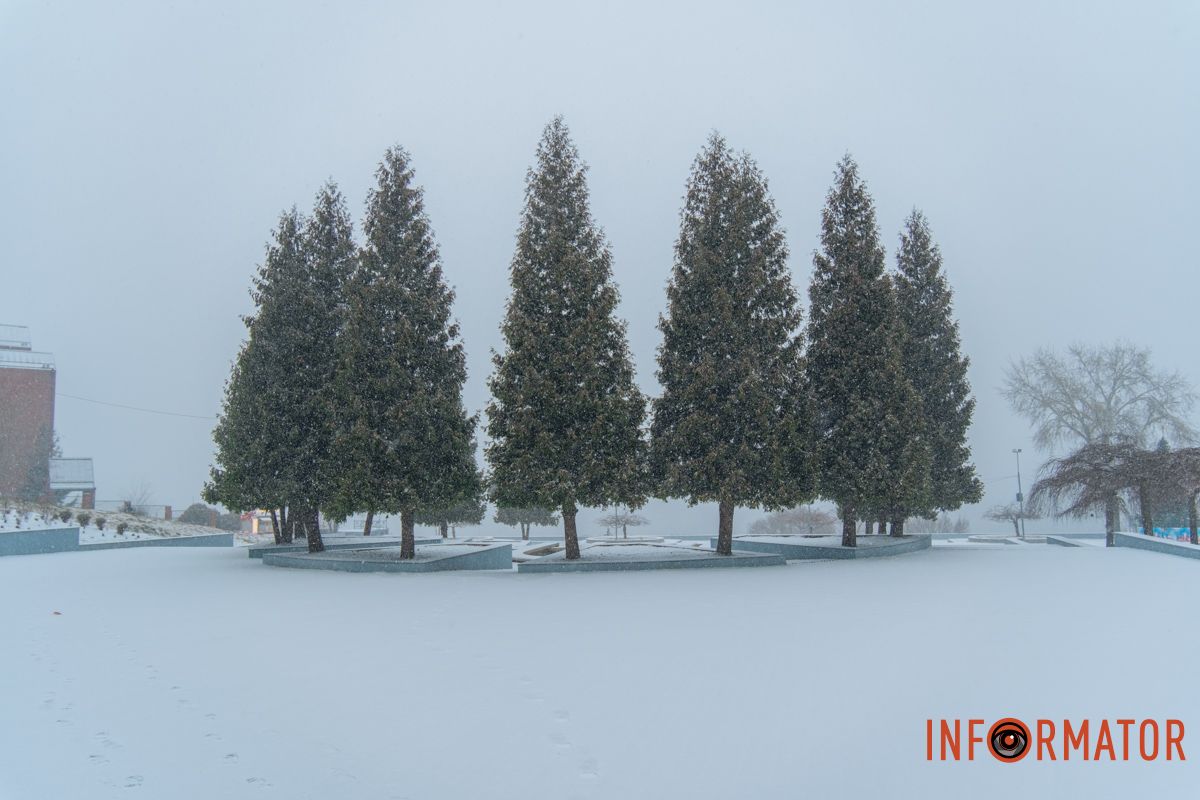 Дерева зникають у білій завісі