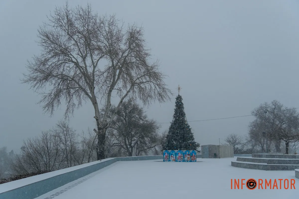 Зелена красуня в імлі