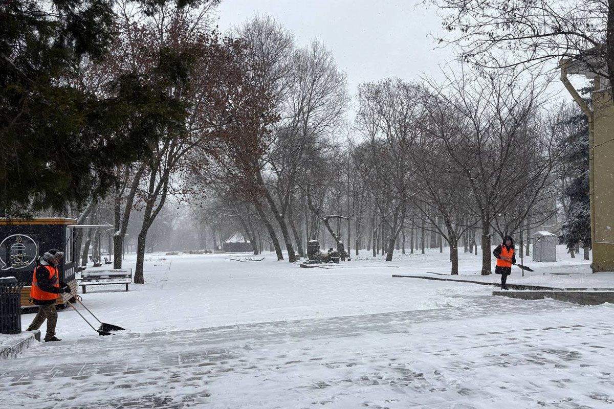 Містянам нагадали про небезпеку катання зі схилів У Дніпрі сніжить: містянам нагадали про небезпеку катання зі схилів у парках 3