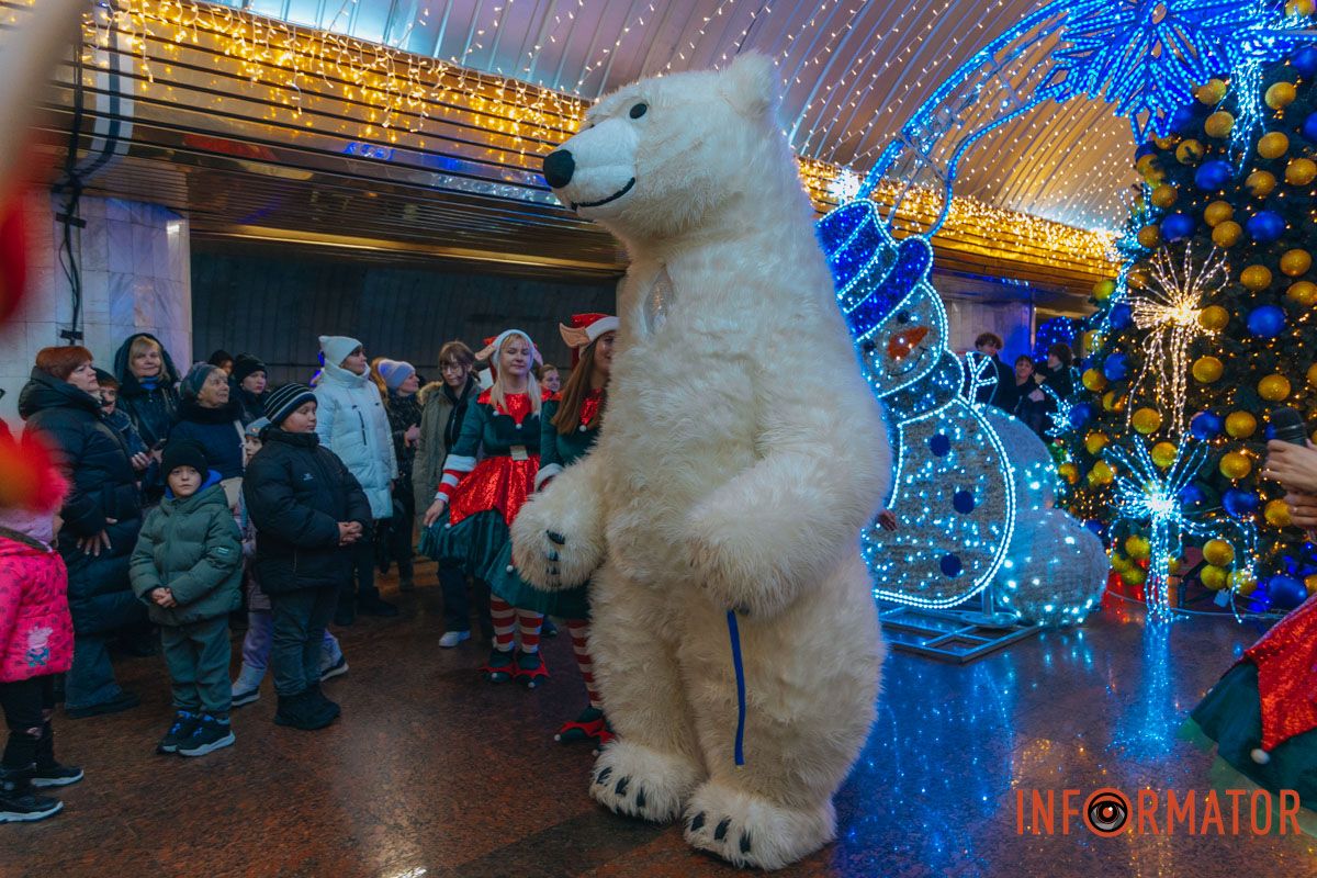 Білий ведмідь