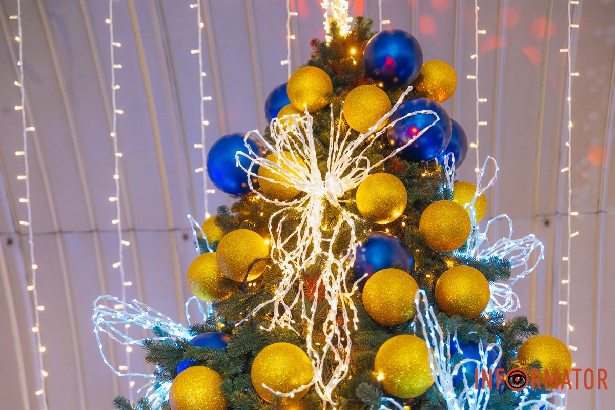 Висота ялинки сягає 5 метрів