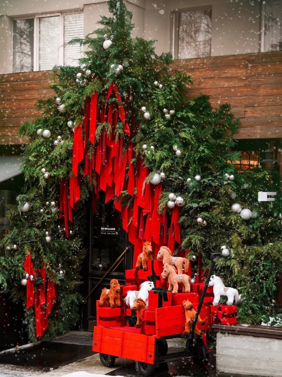 Фото: alynova.photo.dp