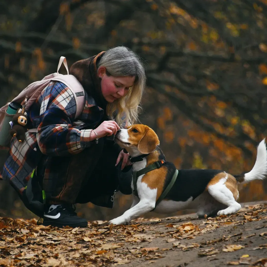 Фото: detomaso17  