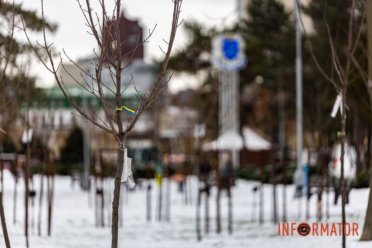 Як виглядає засніжений парк Глоби у Дніпрі 2