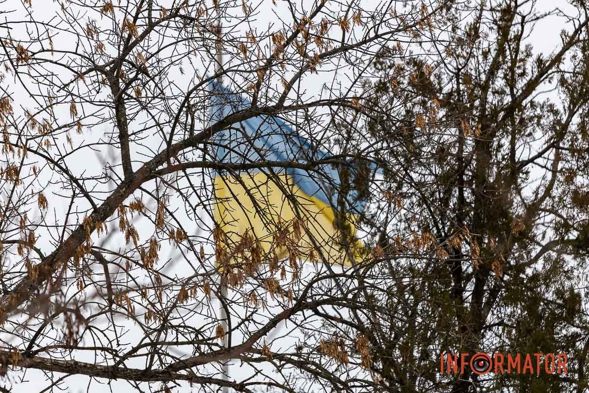 Як виглядає засніжений парк Глоби у Дніпрі 12