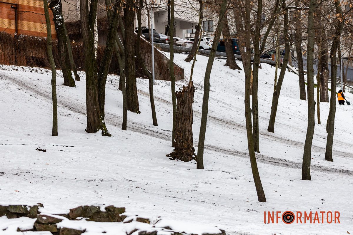 Як виглядає засніжений парк Глоби у Дніпрі 16