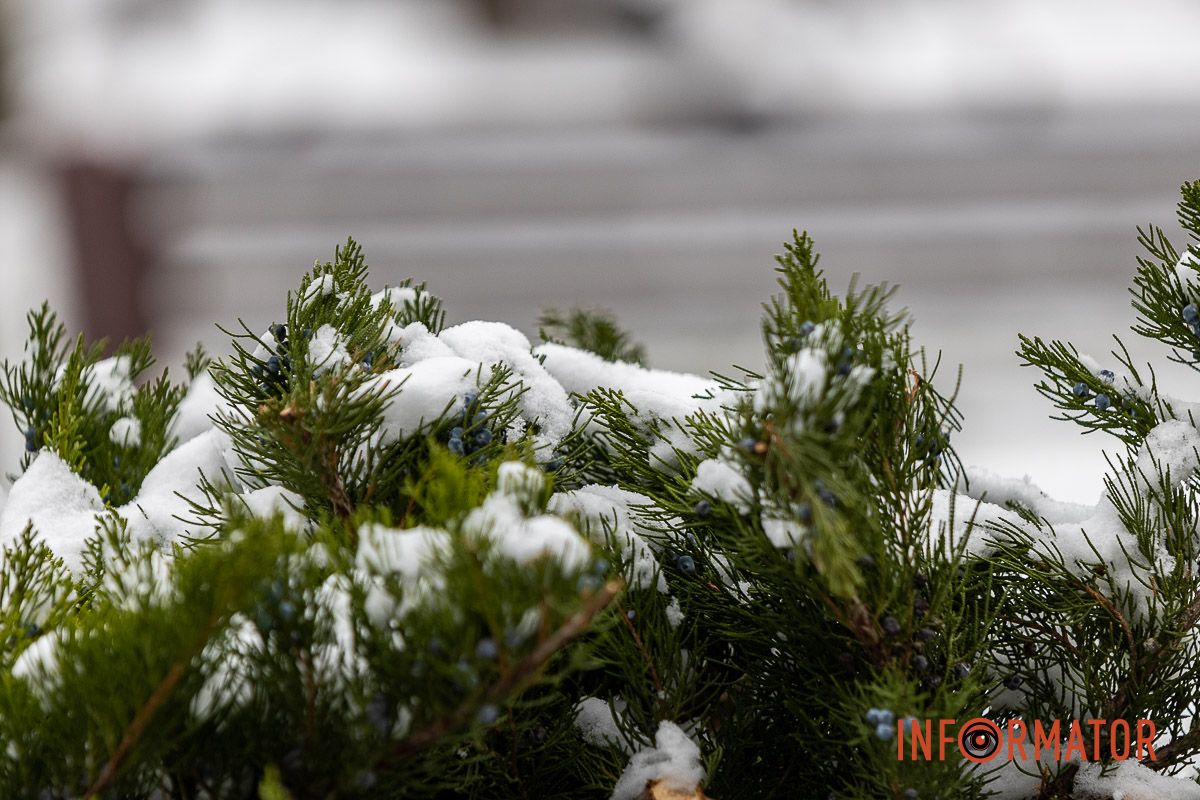 Як виглядає засніжений парк Глоби у Дніпрі 22