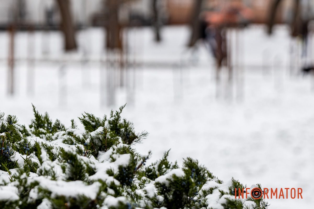 Як виглядає засніжений парк Глоби у Дніпрі 24