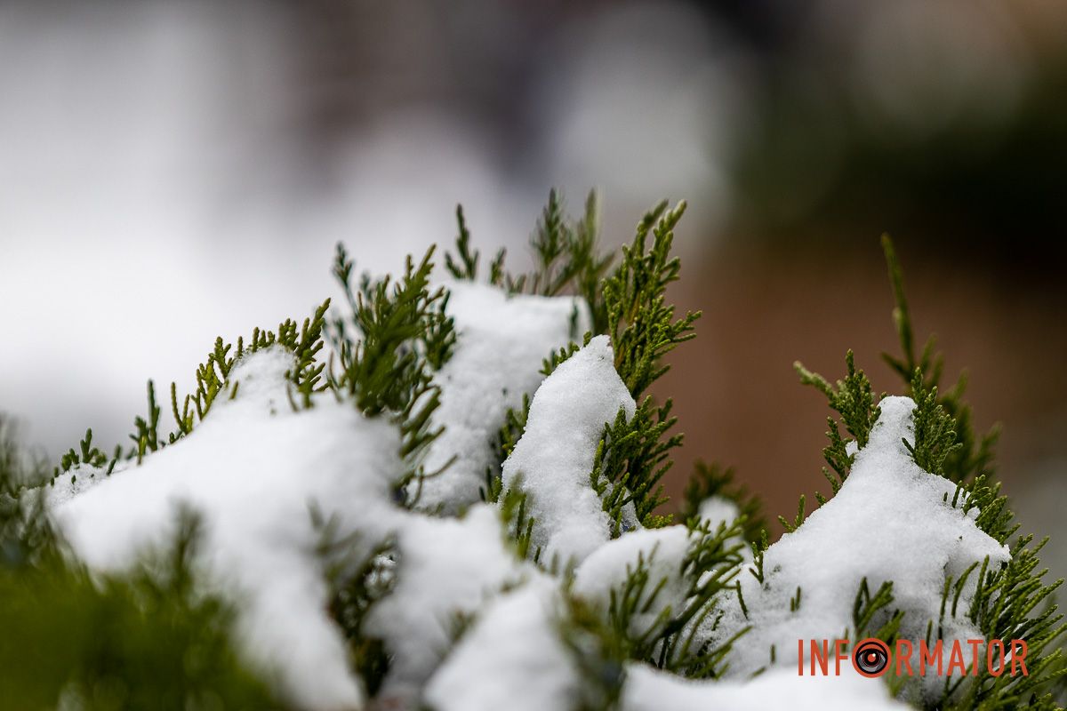 Як виглядає засніжений парк Глоби у Дніпрі 25