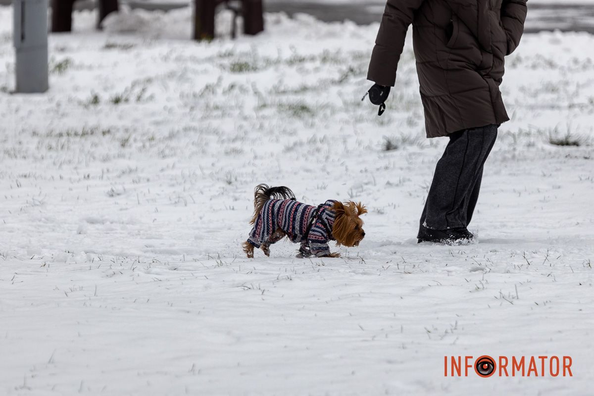 Як виглядає засніжений парк Глоби у Дніпрі 34