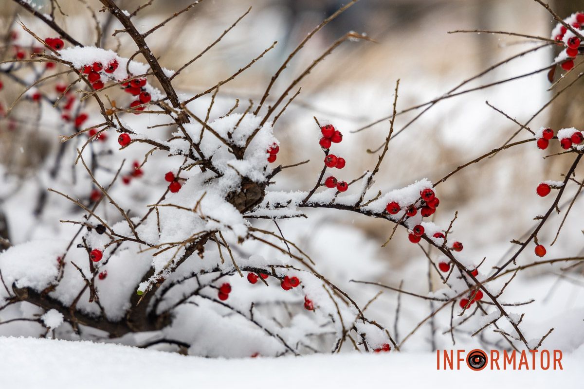 Місто як із листівки: у Дніпрі випав перший рясний сніг 58