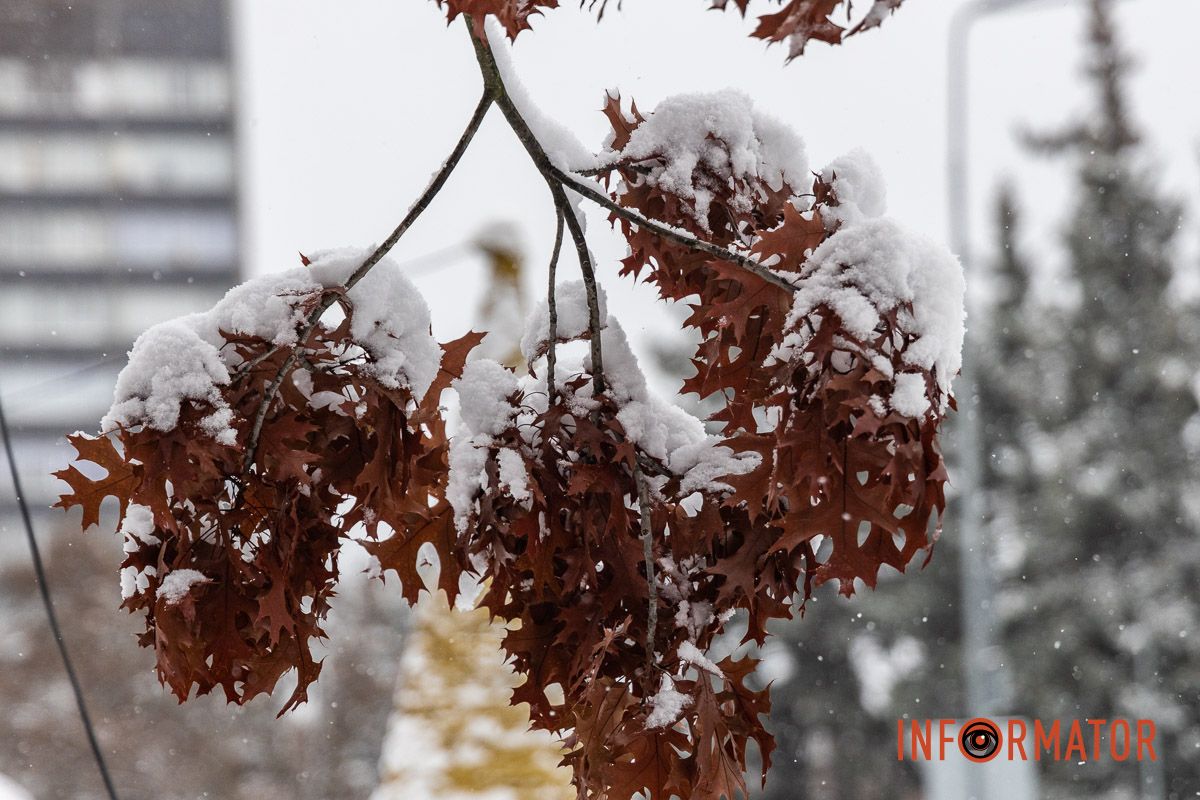 Місто як із листівки: у Дніпрі випав перший рясний сніг 46