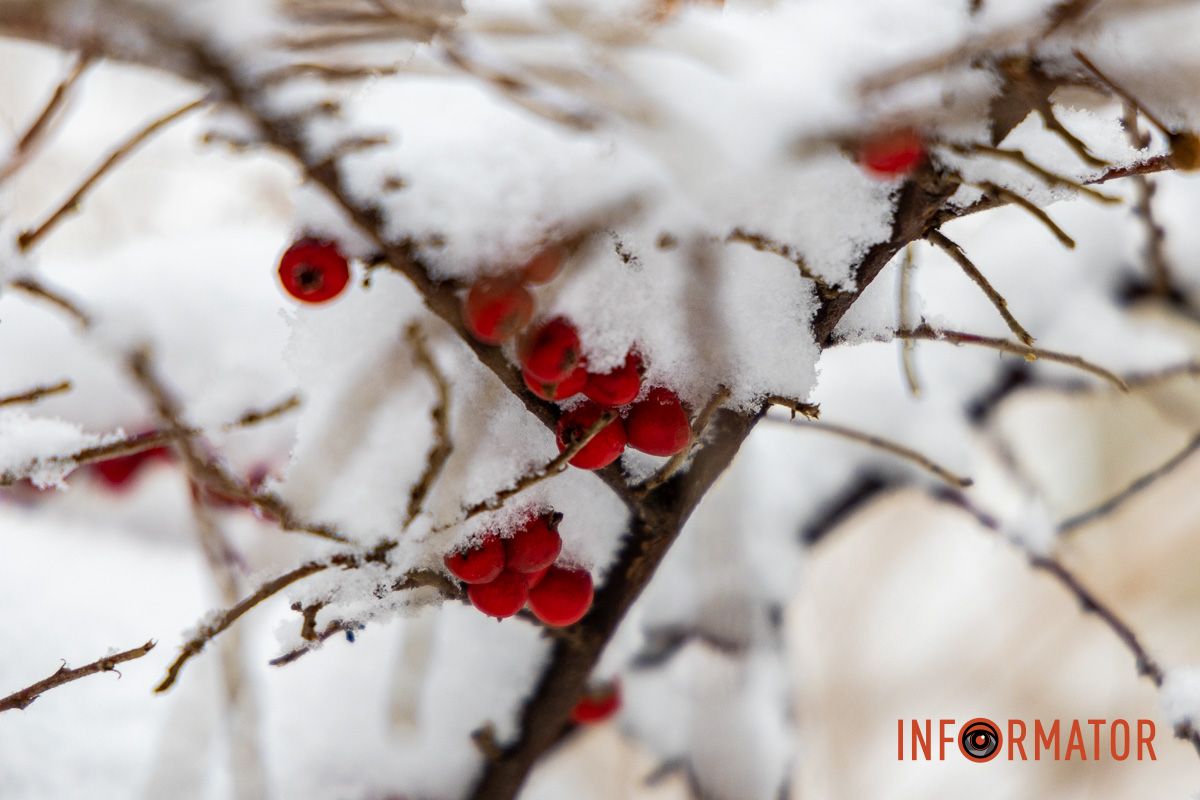 Місто як із листівки: у Дніпрі випав перший рясний сніг 44