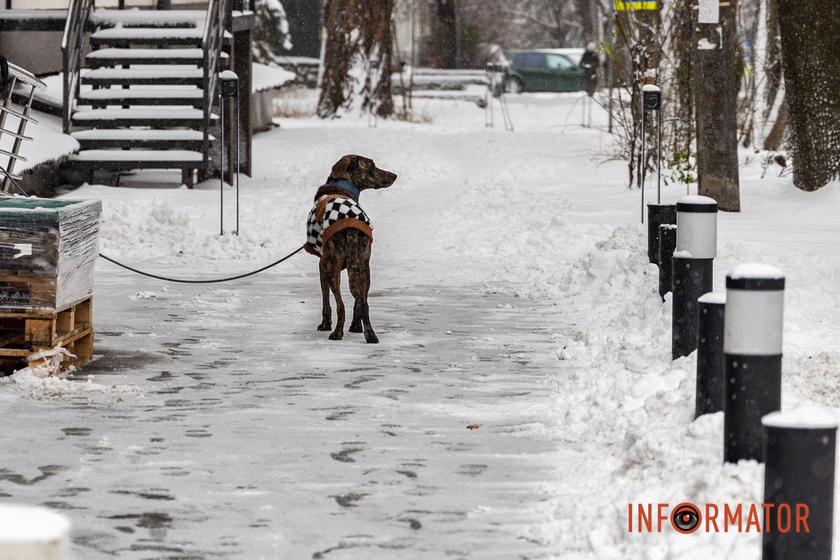 Місто як із листівки: у Дніпрі випав перший рясний сніг 42