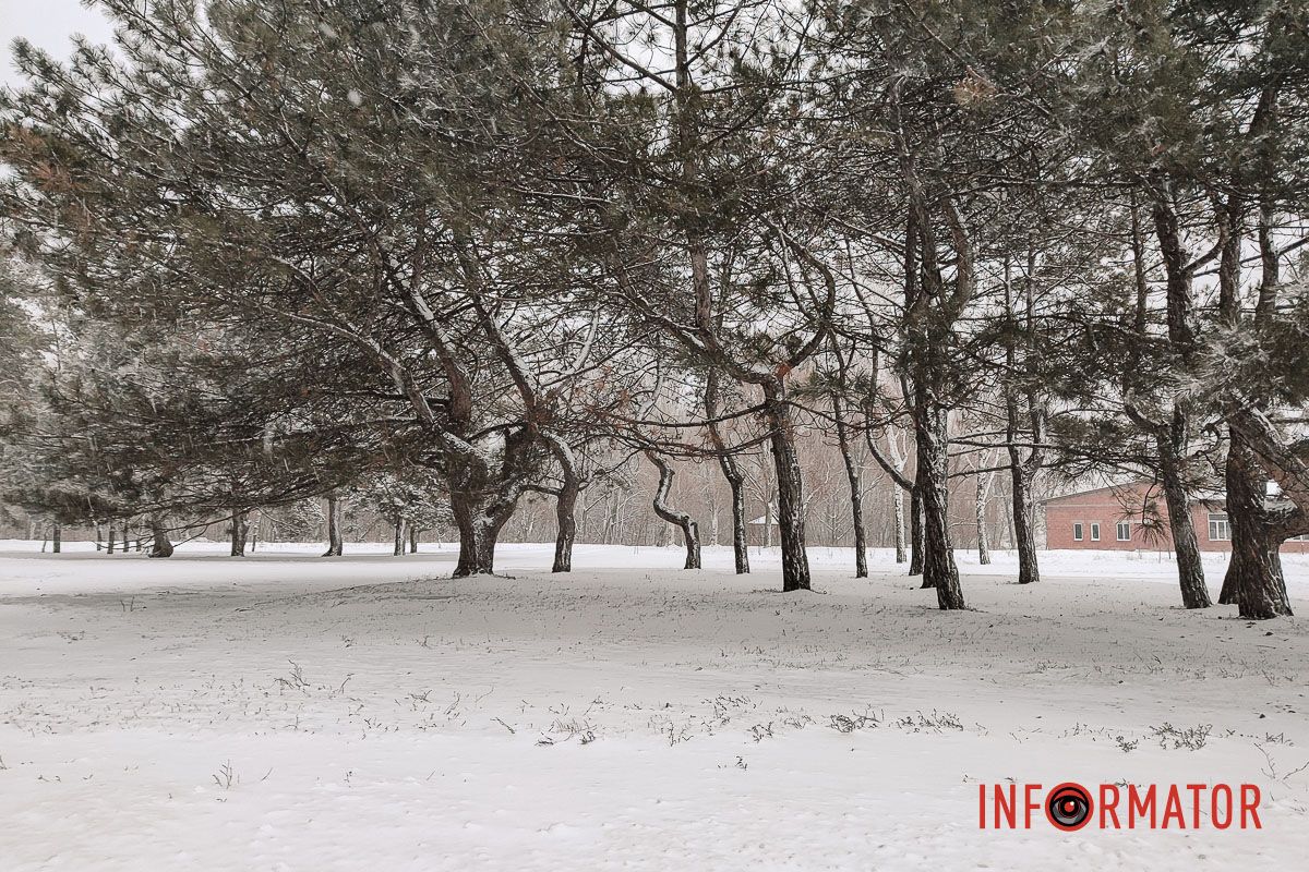 Місто як із листівки: у Дніпрі випав перший рясний сніг 21