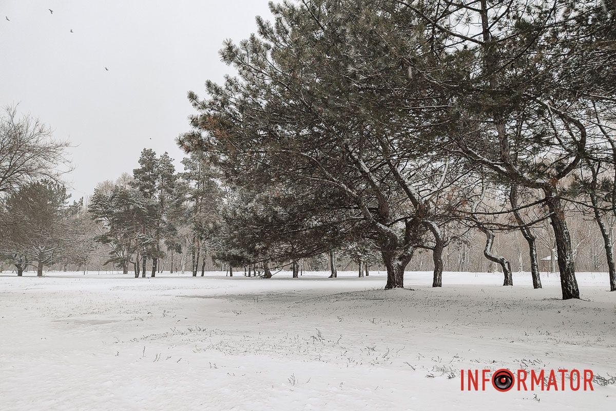 Місто як із листівки: у Дніпрі випав перший рясний сніг 20