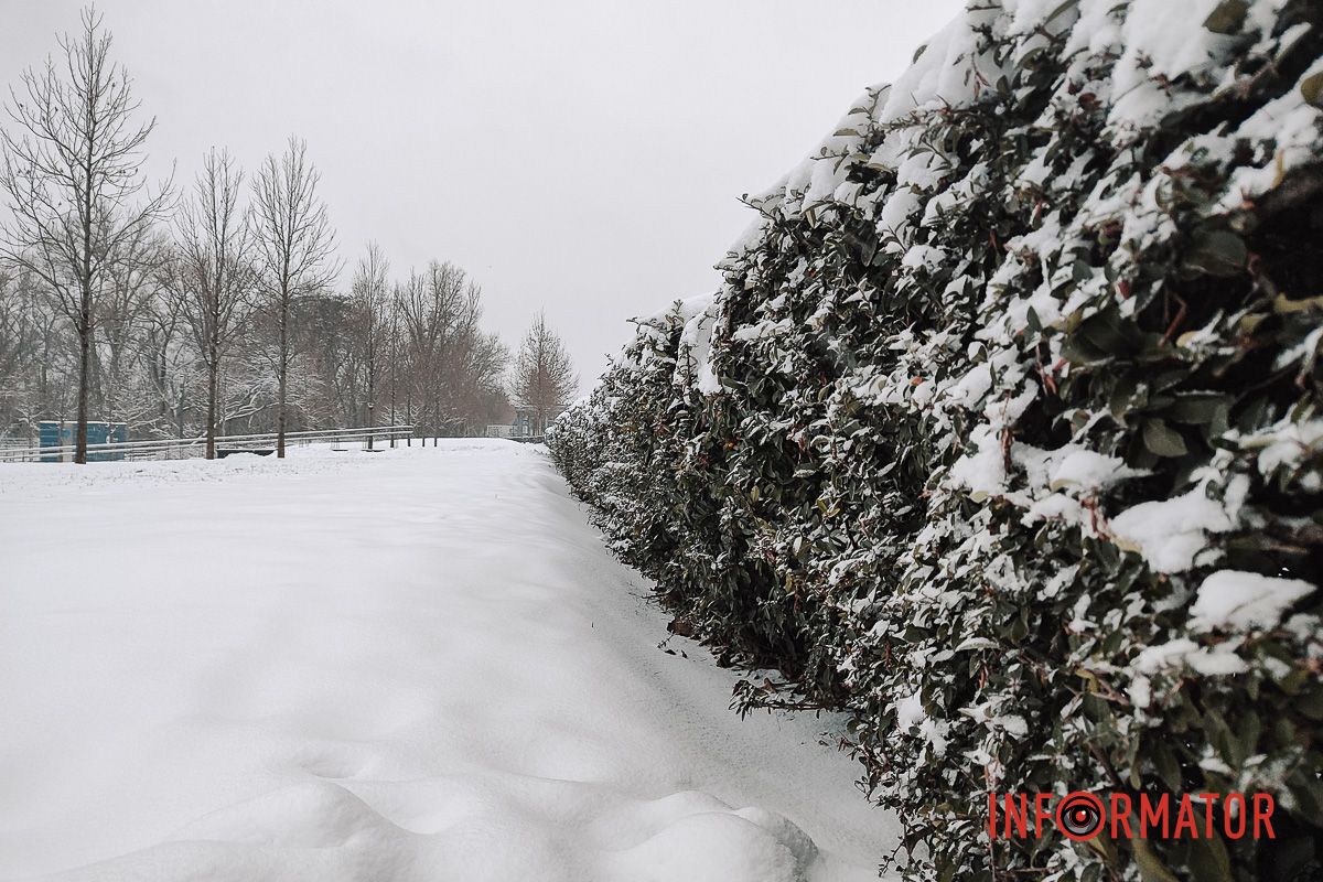 Місто як із листівки: у Дніпрі випав перший рясний сніг 5