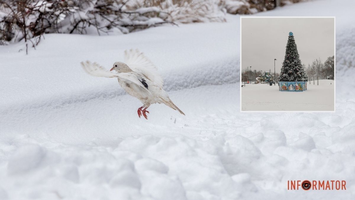 Місто як із листівки: у Дніпрі випав перший рясний сніг