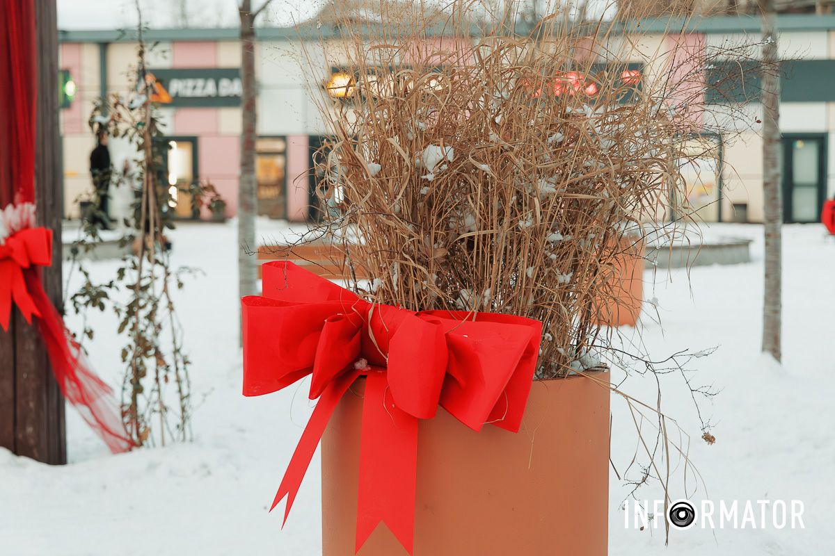 Святкові кольори та зимовий настрій: у Дніпрі відкрили нову фотозону 12