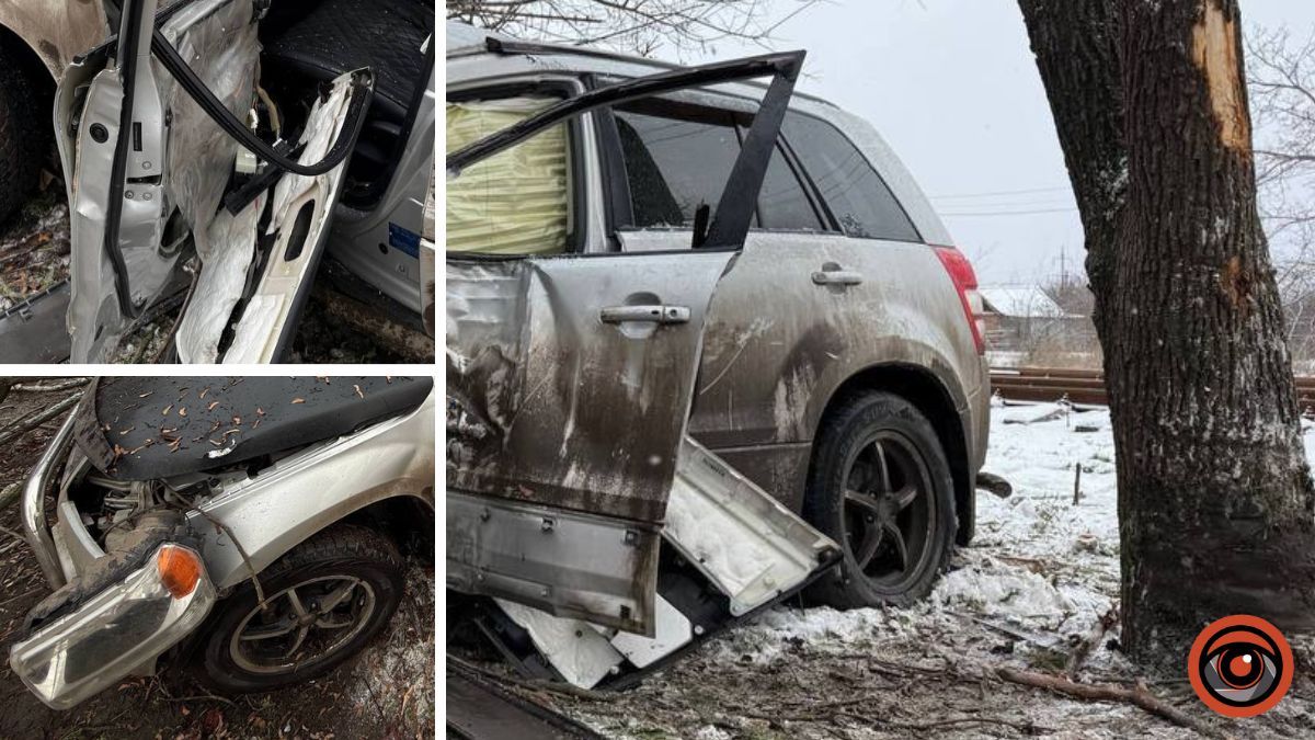 У Кривому Розі Suzuki влетіла у дерево: водія та пасажира забрала “швидка”