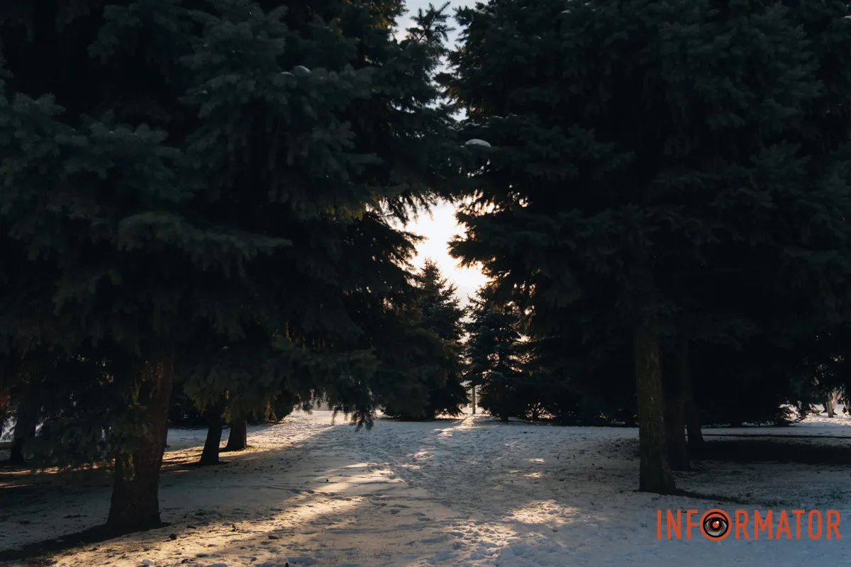 У справжній зимовий казці: як Дніпро зустрів Новий 2026 рік, фоторепортаж 1