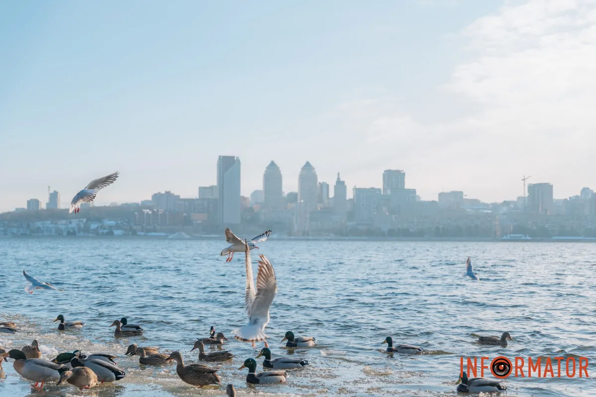 У справжній зимовий казці: як Дніпро зустрів Новий 2026 рік, фоторепортаж 18