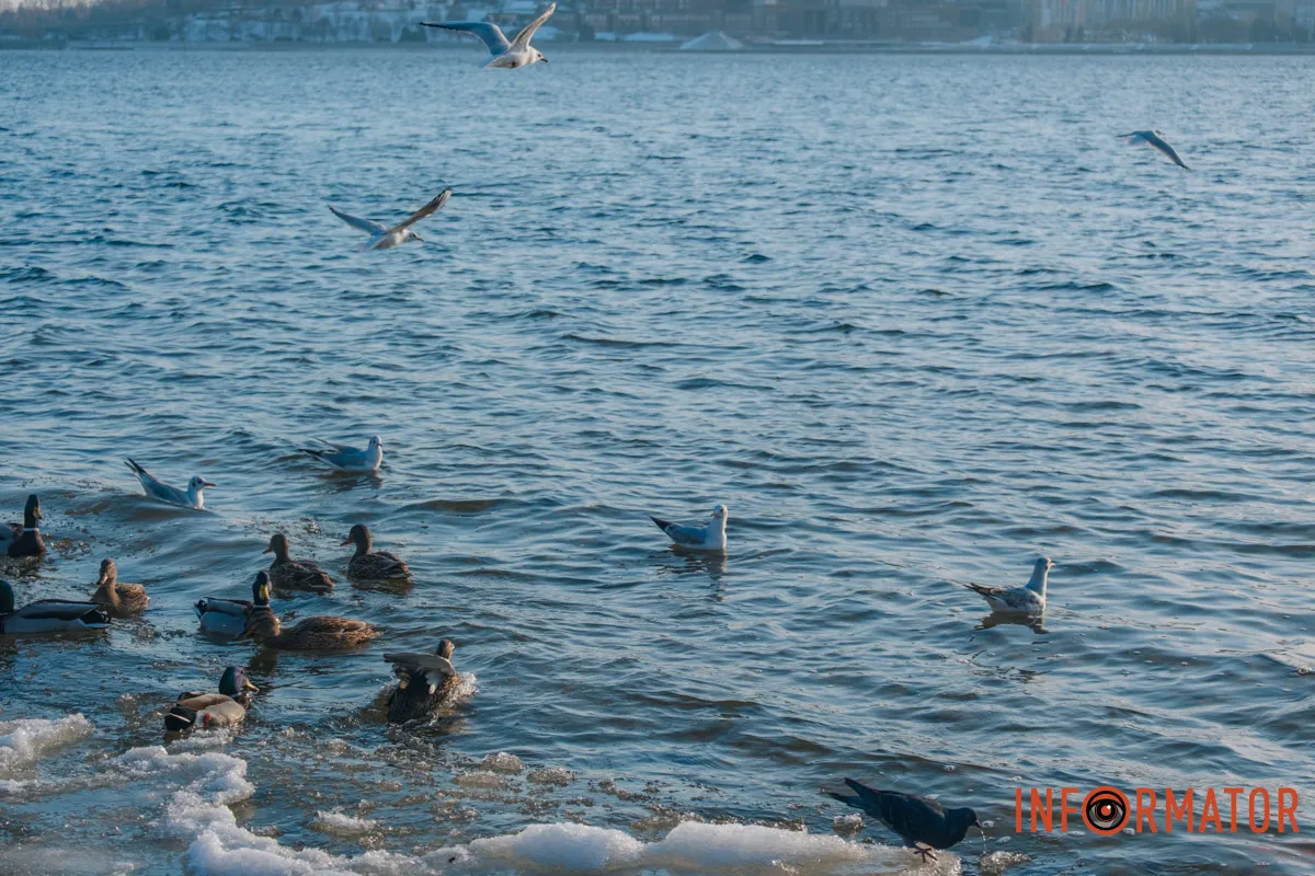 У справжній зимовий казці: як Дніпро зустрів Новий 2026 рік, фоторепортаж 24