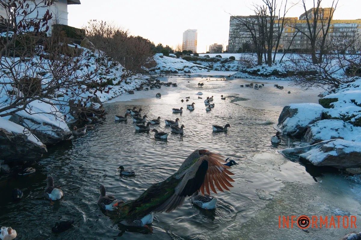 У справжній зимовий казці: як Дніпро зустрів Новий 2026 рік, фоторепортаж 44