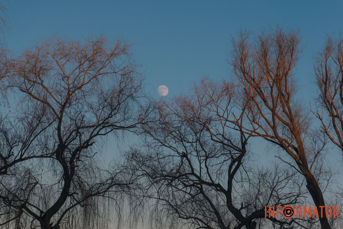 У справжній зимовий казці: як Дніпро зустрів Новий 2026 рік, фоторепортаж 42