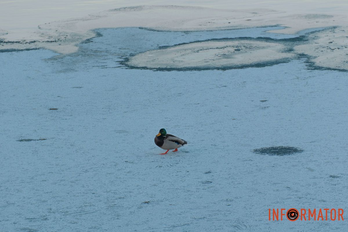 У справжній зимовий казці: як Дніпро зустрів Новий 2026 рік, фоторепортаж 65
