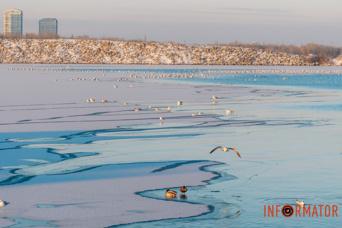У справжній зимовий казці: як Дніпро зустрів Новий 2026 рік, фоторепортаж 67